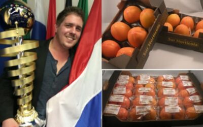 El elegido helado más delicioso del mundo lleva kakis de Sur Hortícola